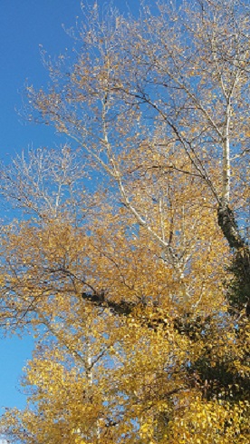 Прекрасен миг