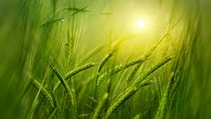 Видно, думал...