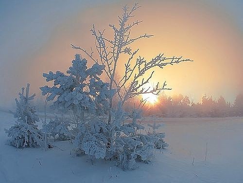 Рисунок, узор, пейзаж