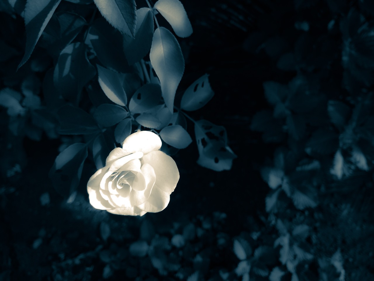 А если я кого-то не прощаю