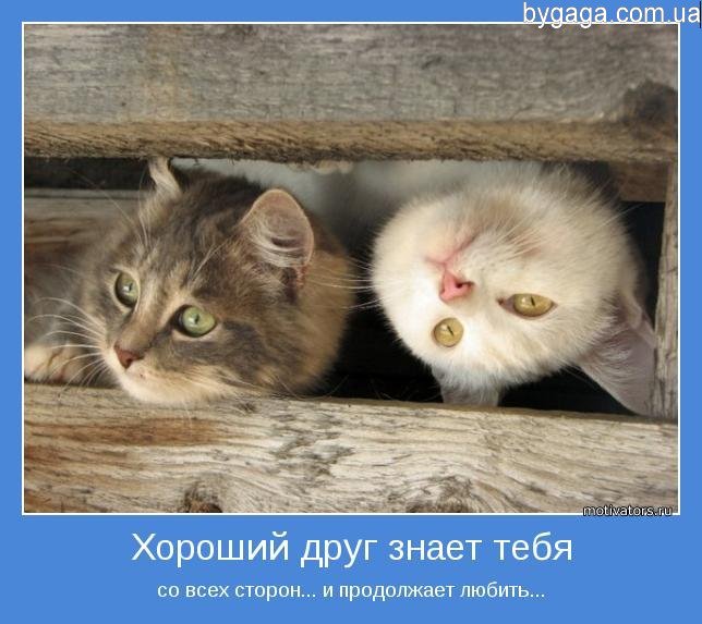 И вновь о дружбе