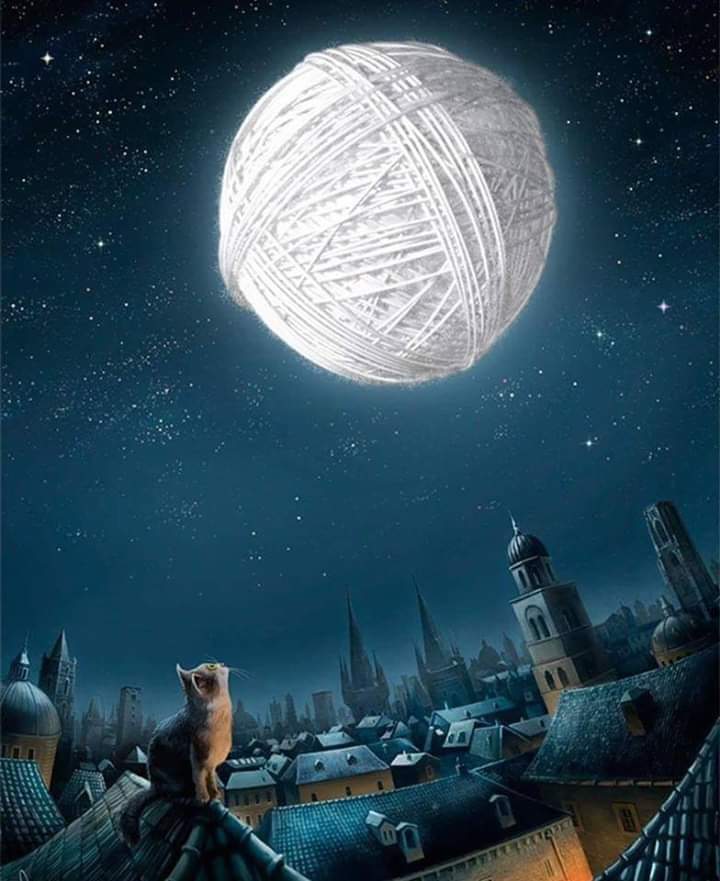 Спокойной ночи sms