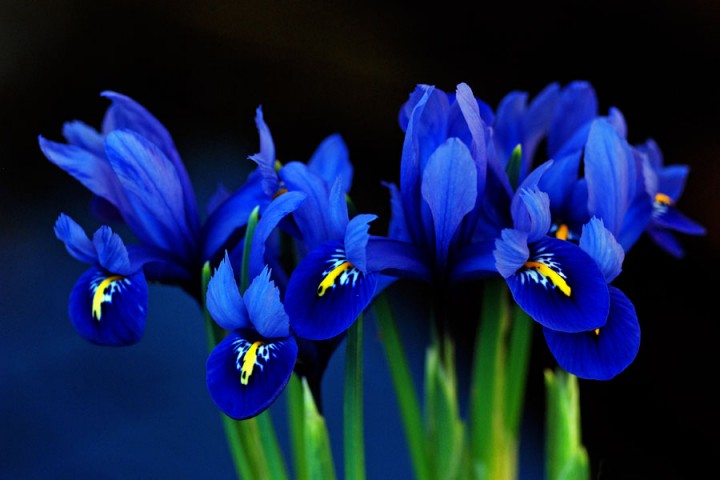 Кто такой есть - Христос?