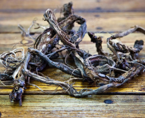 Красный корень