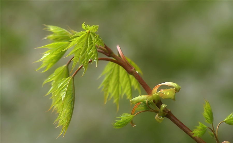 Ты такая красивая..