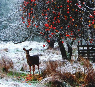 Два дня до зимы