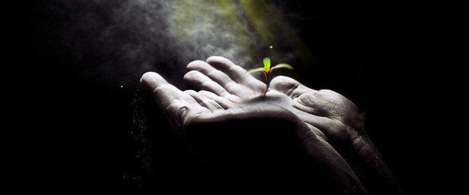 Тебе нравятся мои стихи?