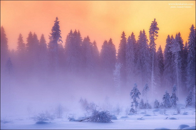 За метелями и вьюгами...