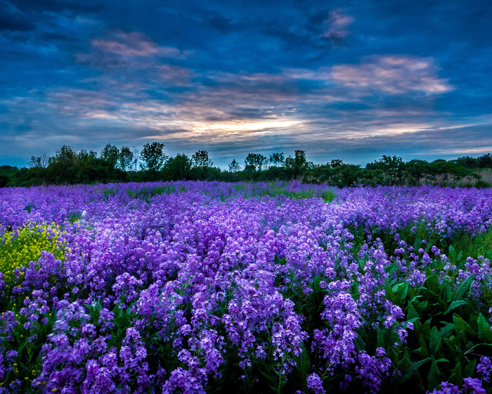 Бежали, бежали года