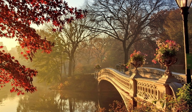 Рассветный воздух свеж и чист