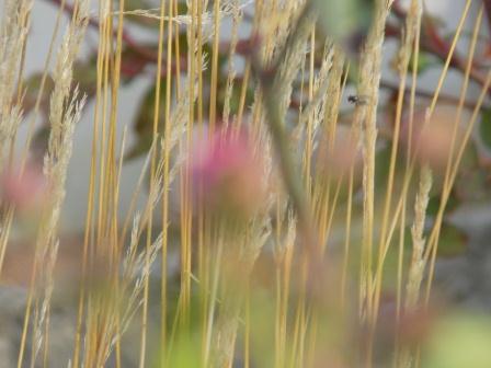 Тишина слетела