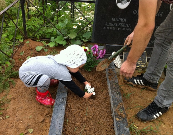 Какие цветы можно сажать на кладбище
