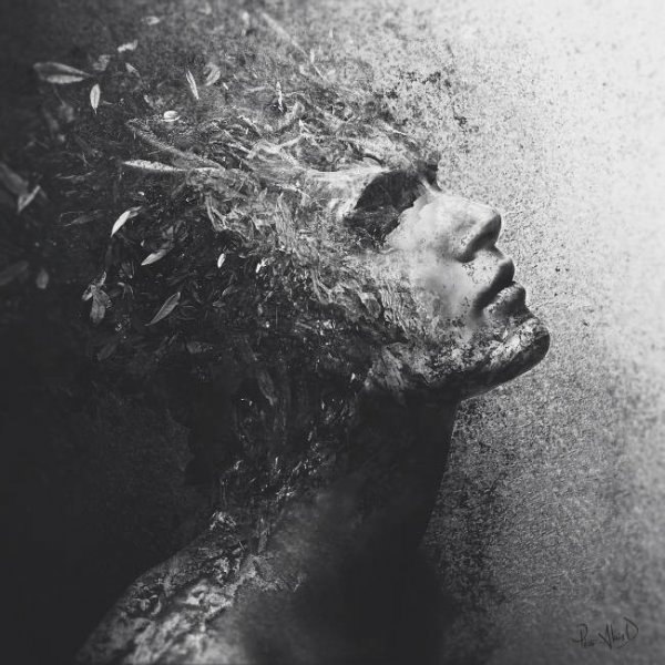 Колокольца звенят на кадиле