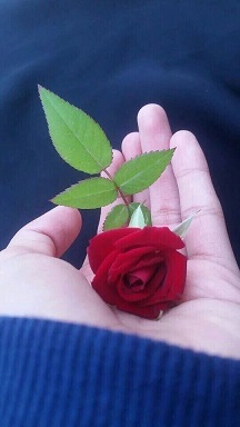 Протяни мне ладонь - я ее согрею