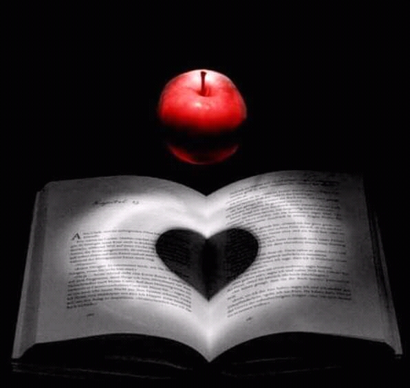 нет такого слова