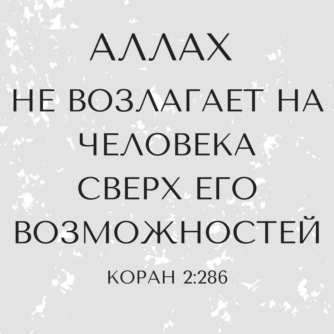 У человека нет возможности всем. То нет возможности для его. Если оказался в завале. То нет возможности для его. То нет возможности для его.