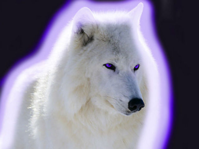 Куём мечи и каждый свой