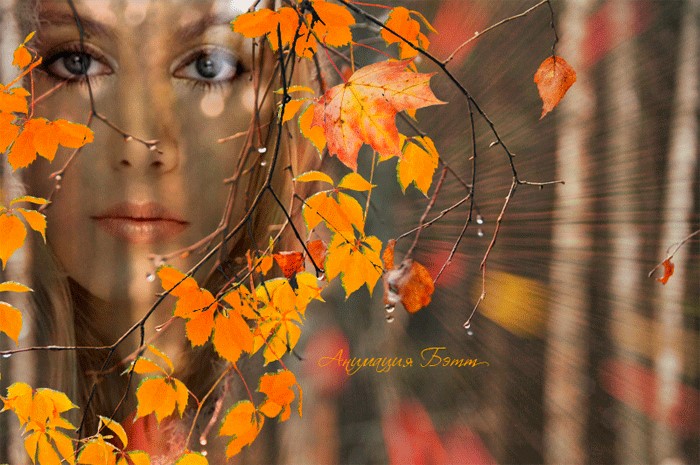 За плечами осень, и ни одна