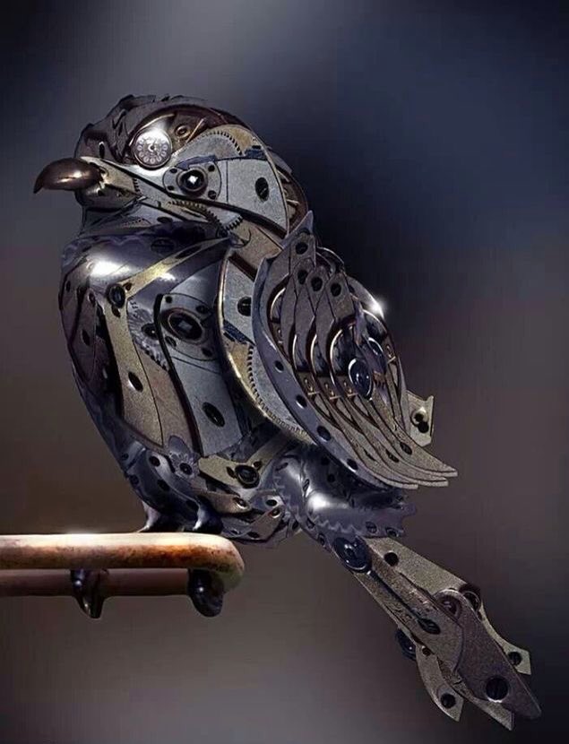 Birds байк