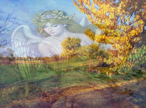 Дорога судьбы