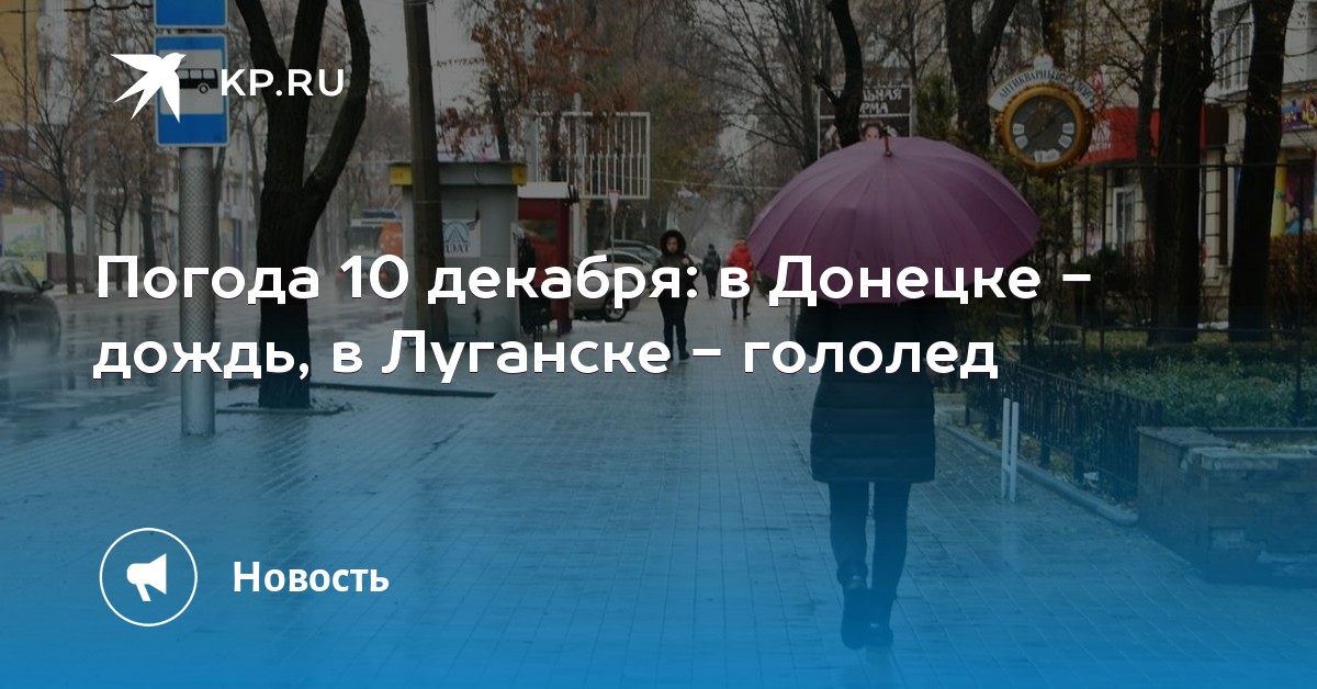 Задождило в декабре задождило