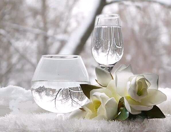 фотоальбом