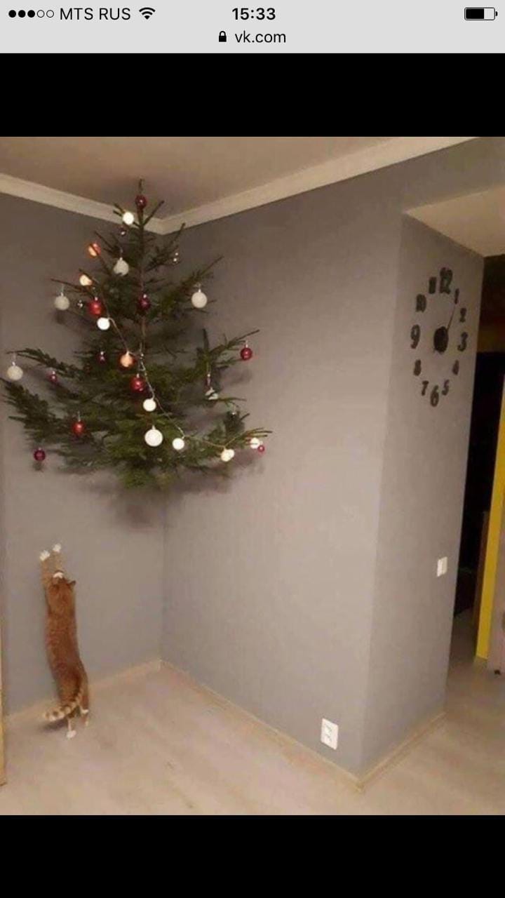 https://stihi.ru/pics/2018/12/15/8232.jpg