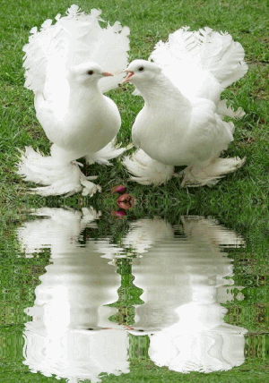 Что ищешь ты?