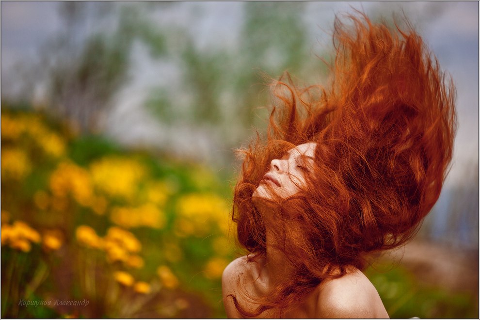 Рыжая обложка. Девушка с рыжими волосами. Рыжая девочка. Рыжие волосы со спины. Фотосессия на природе рыжеволосой.
