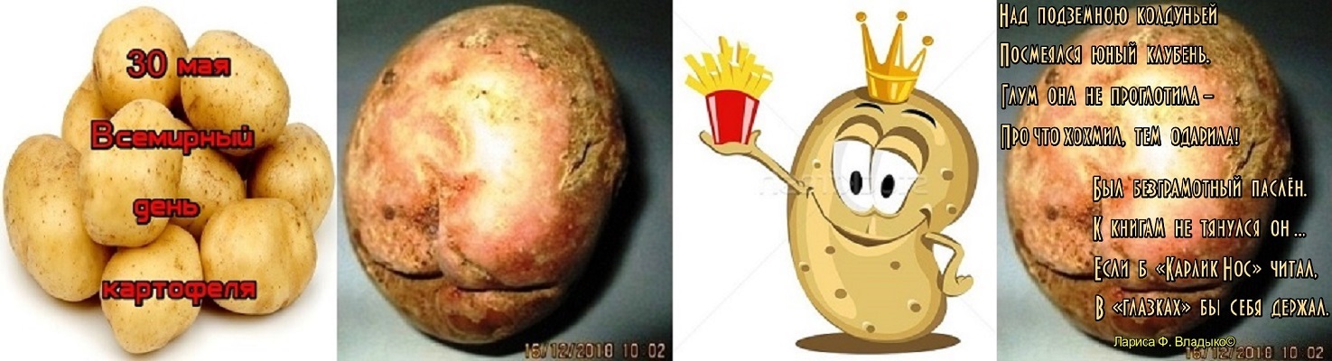 30 Мая. ВсеМирный День Картофеля