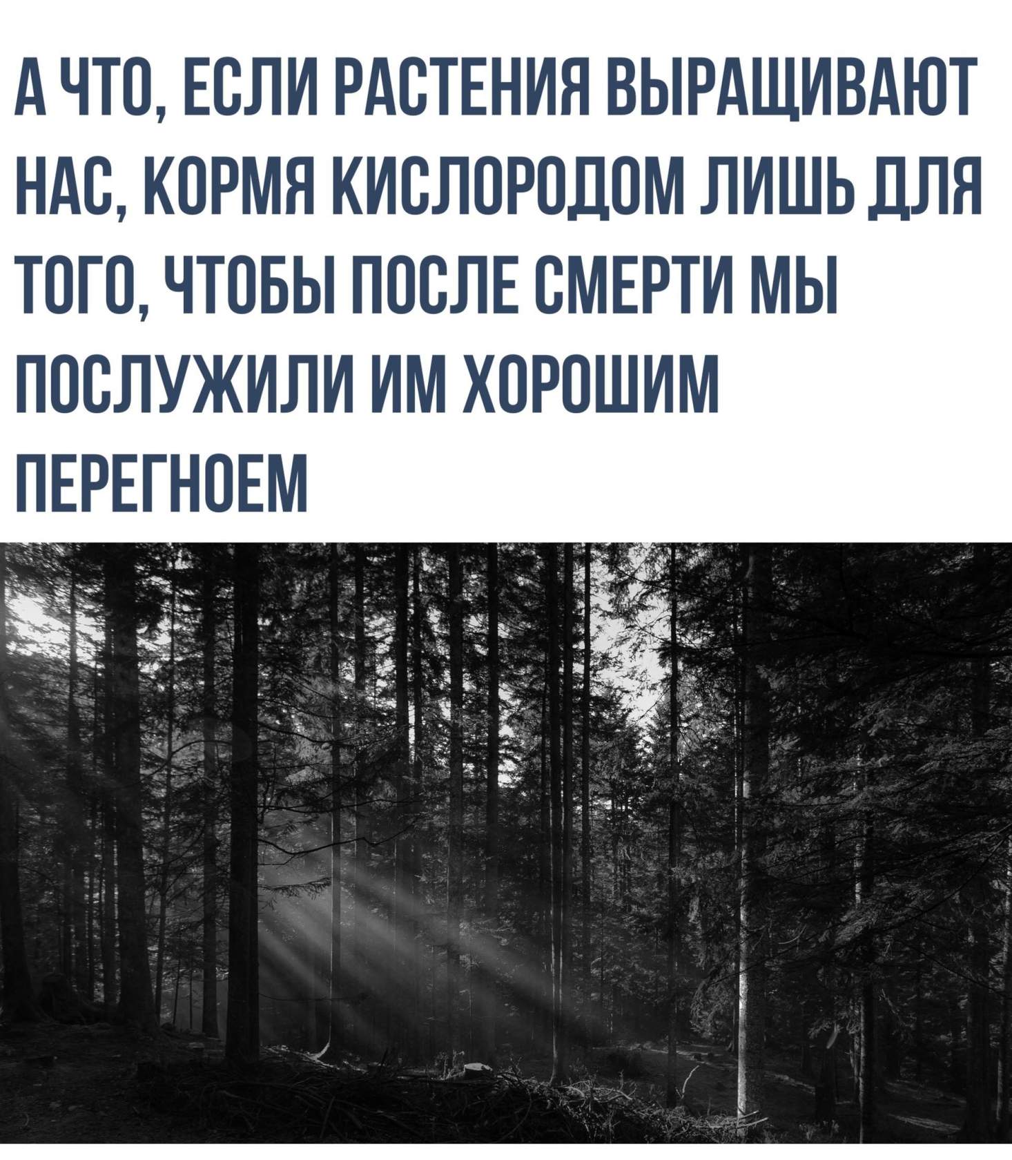 Нас так боялись вырастить эгоистами и хамами. Цитаты про преодоление трудностей. Высказывания о преодолении трудностей. Соколова индиго текст. О том мире где нас растили.