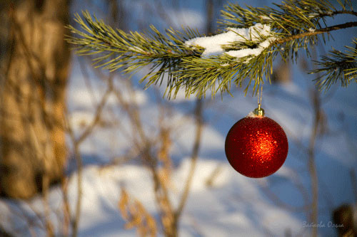 Рождество, снегопад...