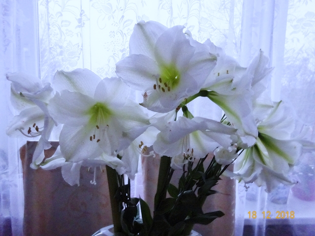 Занежьте женщин - счастьем!