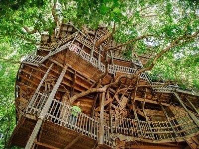 Какое вам дело?