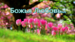 Каждый вдох - подарок от Небес