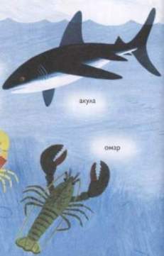 Было это в океане