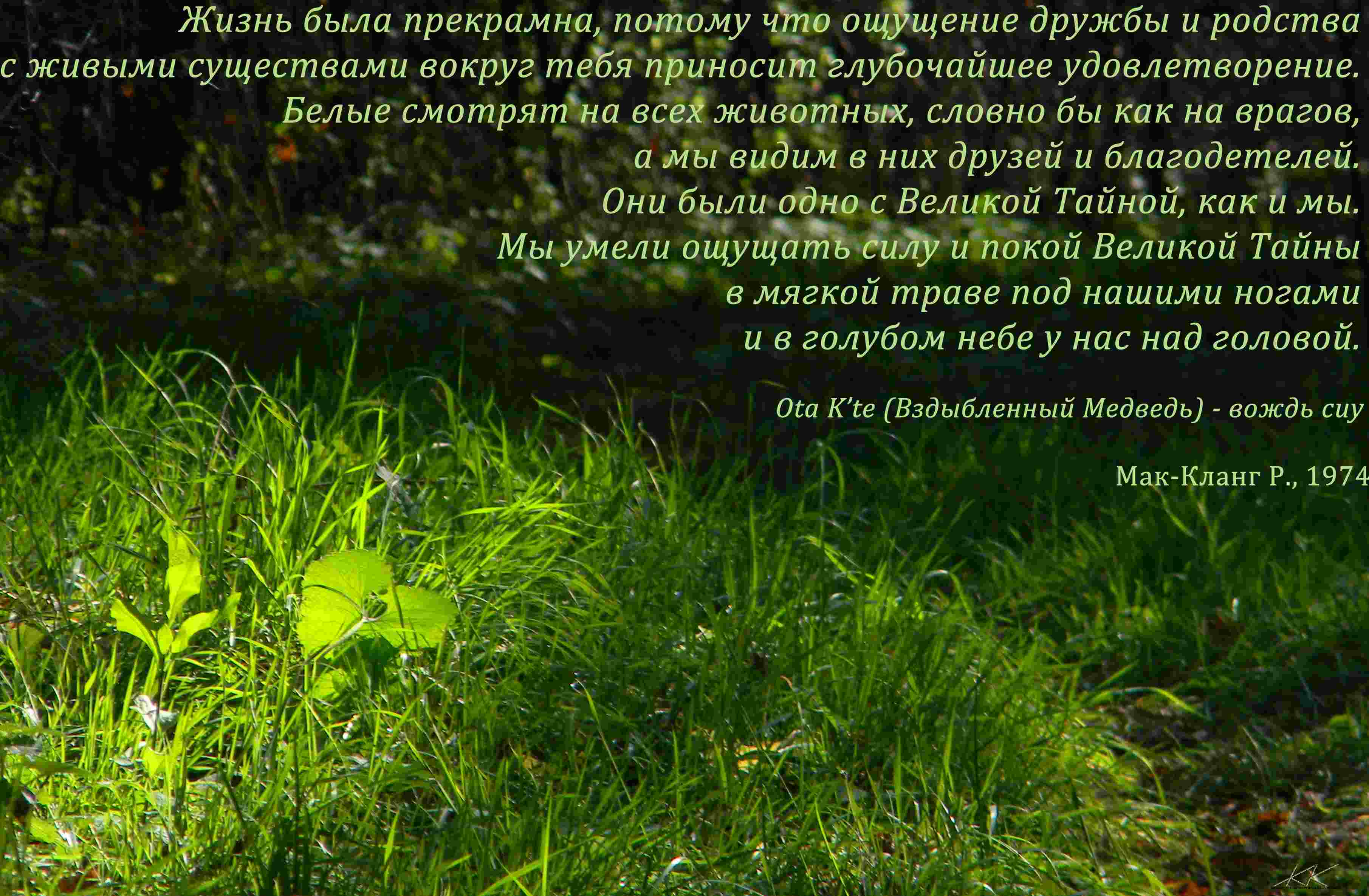 Минувшей бытности грехи