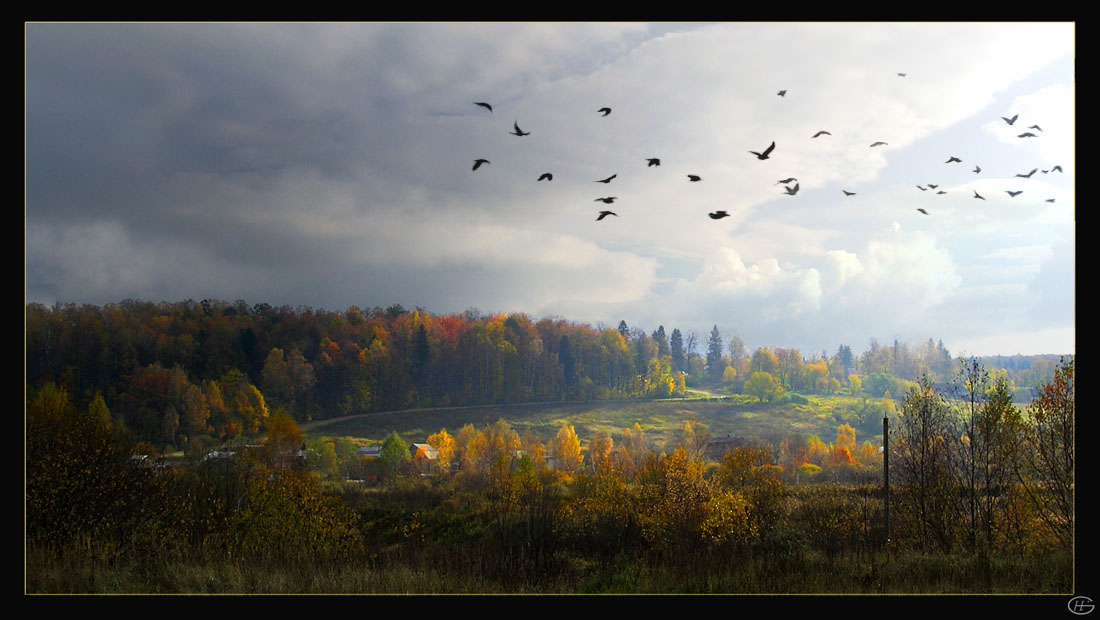 Гусей крикливых караван. Уж небо осенью дышало гусей крикливых Караван. Птицы над лесом. Поздняя осень птицы. Осенний пейзаж с журавлями.