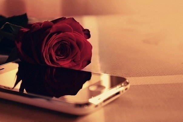 Кнопку нажал