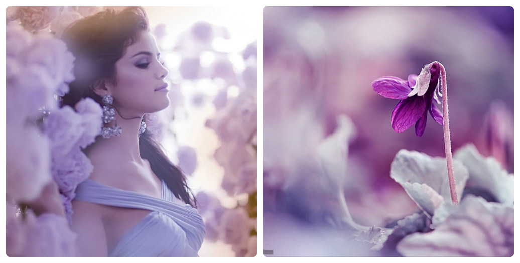 Я влюблена в него, словно кошка