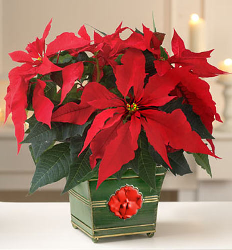 Эллада. Страна и Традиции