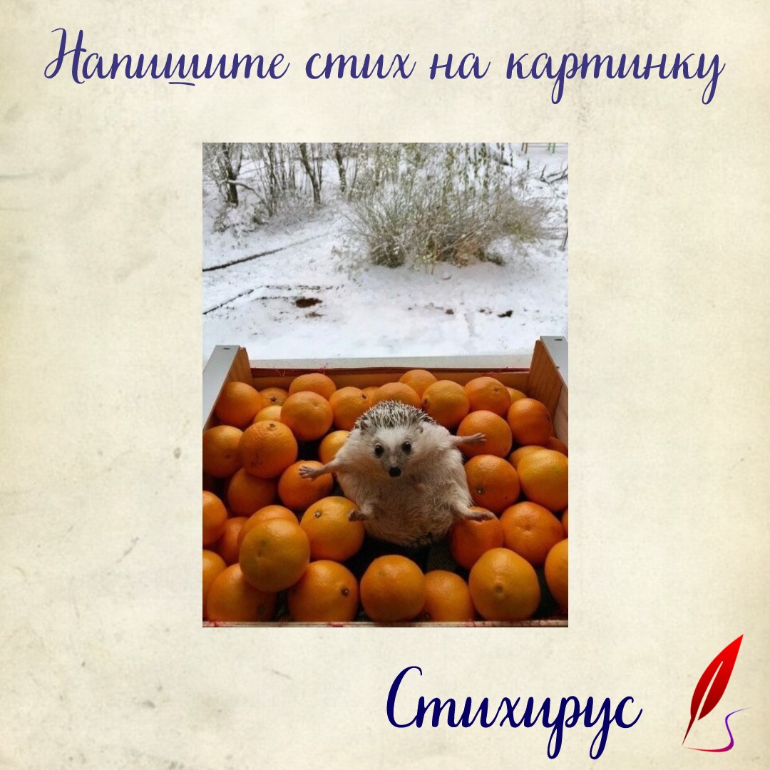 мандарины воровали