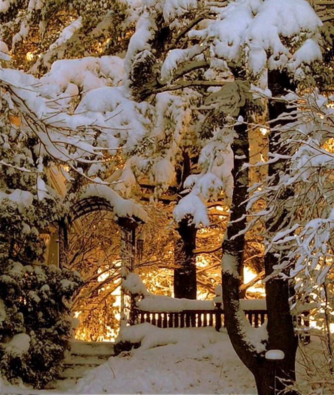Я своей жизни - командир...