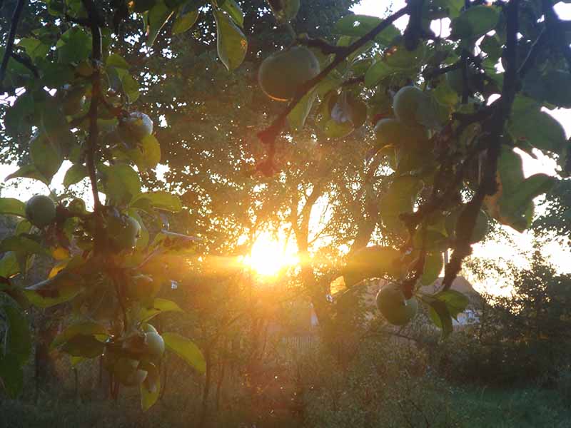 Нич на двори и ныц ны выдно нам,