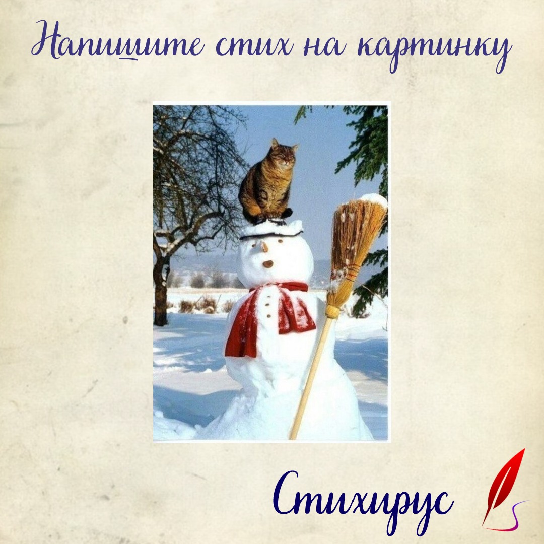кот и снеговик
