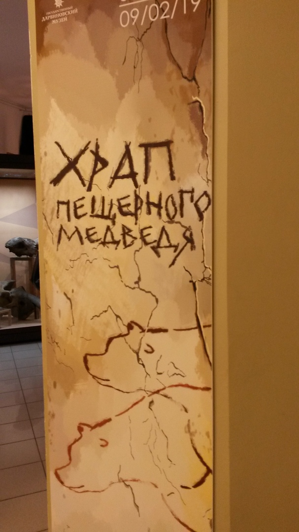 Редкое женское качество. Фото-отгадки