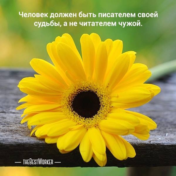 Судьбу благодарю