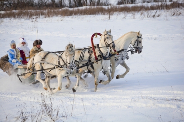 В санях по снегу