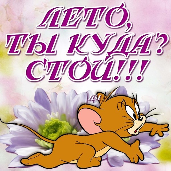 Лето, не уходи!