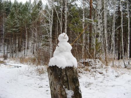 Дед Мороз взмахни рукой!